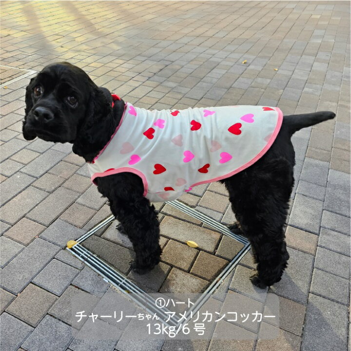 犬服ハートちゃん Sサイズスカート付きタンクトップオーダー可能