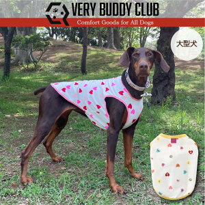    ^Ngbv ^ Web n[gvg^Ngbv  t t tďH~ uh   v`v   yA ybgEFA ybg n[g Ȃ