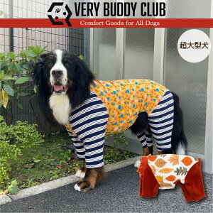 ycTCY13̂݁z    ^ Web{^jJvg Jo[I[  t t tďH~ uh   v`v   yA ybgEFA ybg t