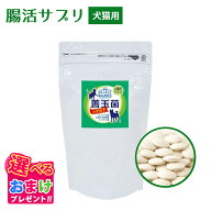 ウエットティッシュプレゼント クーポン ポイント5倍 おまけ付き 乳酸菌 セレクトバランス 善玉菌のチカ…
