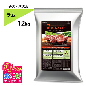 10%OFF�N�[�|���@���܂��t�� ���K�� RIGALO ���� �q�� ���� 12kg 12�L�� ���^���p�N�� �n�C�v���e�C�� �h�b�O�t�[�h �r �O���C���t���[ ����ς���37���ȏ� �ᎉ�b �p�s�[ �h���C�t�[�h �P�ʋ� ��