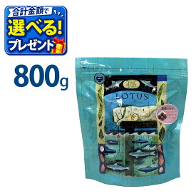 おまけ付き ロータス グレインフリー フィッシュレシピ 小粒 800g ペットフード ドッグ フード 成犬用 犬 1歳 2歳 3歳 4歳 5歳 6歳 魚 フィッシュ 総合栄養食 ヘルシー オメガ 消化 AAFCO