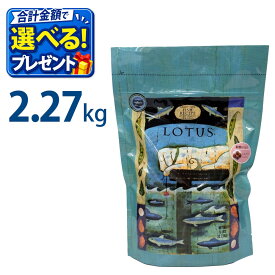 おまけ付き ロータス グレインフリー フィッシュレシピ 小粒 2.27kg ペットフード ドッグ フード 成犬用 犬 1歳 2歳 3歳 4歳 5歳 6歳 魚 フィッシュ 総合栄養食 ヘルシー オメガ 消化 AAFCO