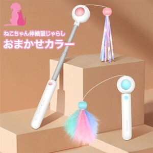 ܂ΏۊO Ti 011 ܂J[ ˂LkL炵 1_ Lp L炵 ^b` Lk OȂ ybg Lp Lbg   킢