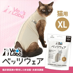  Lp xbcEFA O[W XL yVet's Labozy2܂Ń[֔zzLp 畆ی앞 p㕞 p m EFA  Lk bVf r   h~ [F]