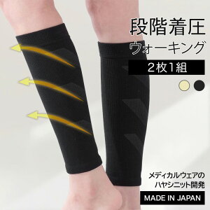 [}\ő10{ ] EH[LO bO T|[g 21g /   ^  Œ  ӂ͂ T|[^[ {    g ۉ GAR H ~ z  ₳ VR 