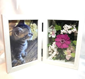 ytHgt[ƃvtAWsNF̃WjAzfGȎԂ肪ƂIInbs[[YԂƎvoꏏɏ낤I vU[uht[ [PW]