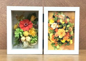 yȃu[PƂ߂t[AWze̋C߂ĉԑ؂Ȏʐ^ƈꏏɁEEEIW vU[uht[ [PW]