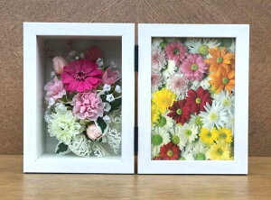 yȃu[PƂ߂t[AWze̋C߂ĉԑ؂Ȏʐ^ƈꏏɁEEE vU[uht[ [PW]