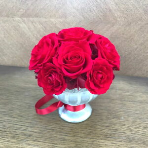 12ւ̐ԂoiԊtjAWvU[uht[[PW]