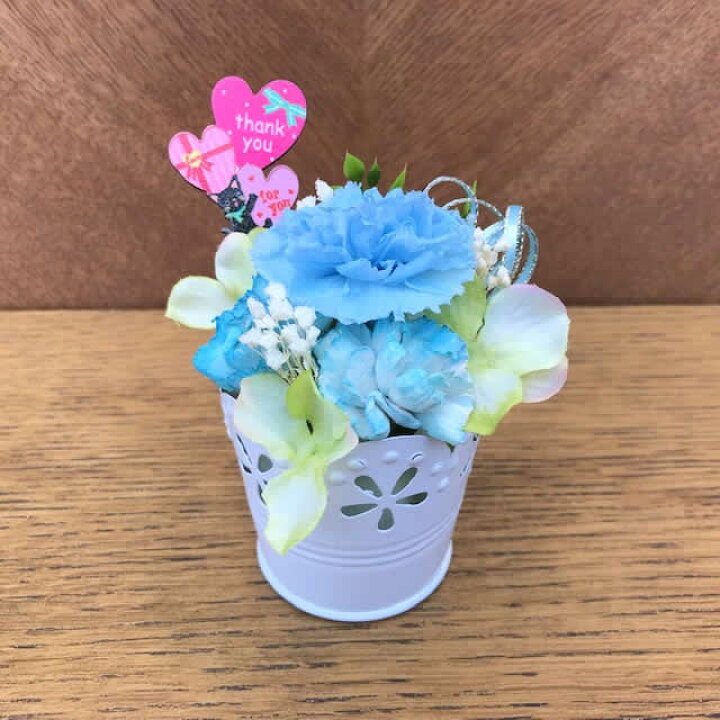 楽天市場 青いカーネーション ちょこっと気持ち いつもありがとう 花言葉 永遠の幸福 プリザーブドフラワー Pw 花とベネチアン