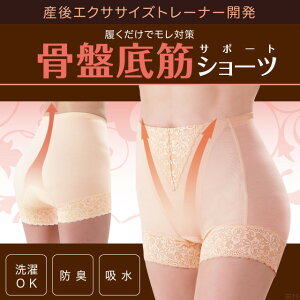 AR pc p fB[X V[c փpc ARV[c  Ւ  [ WFk ]