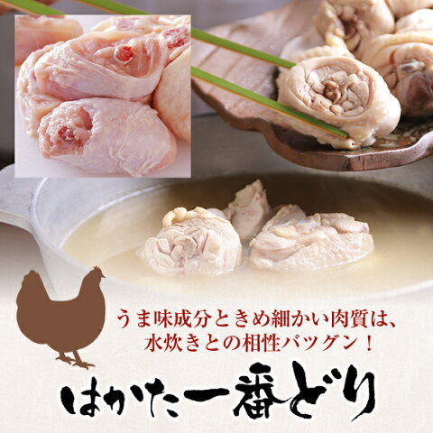 博多若杉 プレミアム水炊き2〜3人前セット【送料無料】【純生スープ】 老舗 ギフト プレゼント 贈り物 誕生日 お祝 内祝 高級 食品 おつまみ 食べ物 グルメ 博多 九州 2022 敬老の日