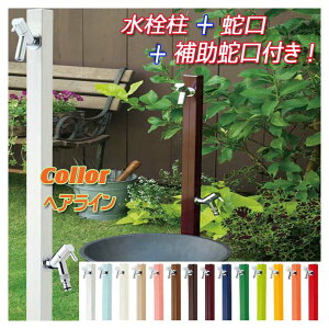 yzANA[WW ֌2t FFwAC  eX ɍi IV   jbg(֌2t)߂₷iŁI