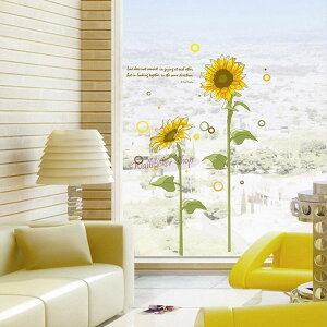 EH[XebJ[ k   gC v C mg[    ǎV[