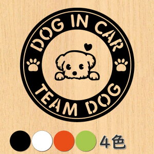 EH[XebJ[  hbO dog in car  q   ybg V[ T[N ~^