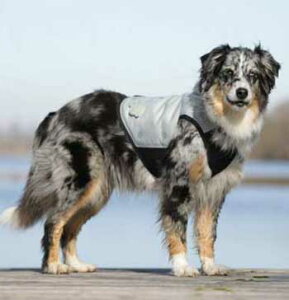 [CANI COOL] N[R[g  R[g MTCY N[WPbg JjN[