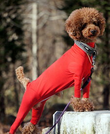 楽天市場 つなぎ カバーオール ブランドフェンダー ドッグウェア 犬用品 ペット ペットグッズの通販