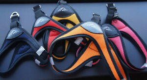 [Hakusan] IWin[lX C[W[RtH[gn[lX ^ n[lX ^ ML-XLTCY