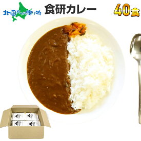 食研カレー 200g 4食/20食/30食/40食(食べ物 ギフト レトルト カレー ギフト レトルト食品 常温 保存 備蓄 お取り寄せ グルメ お惣菜 母の日 プレゼント メール便 ポイント消化 送料無料 1000円ポッキリ 日本食研 カレー ギフト gift set お土産 内祝い お返し 就職祝い)