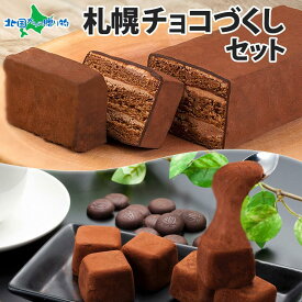 わらく堂 北海道 チョコ 尽くし セット おもっちーず しょこら 赤レンガショコラ ガトーショコラ チョコレート ビター チョコ ケーキ スイーツ セット お菓子 ギフト 食べ物 母の日 プレゼント 冷凍 北海道 お土産 グルメ gift set 内祝い お返し 職場 会社 まとめ買い