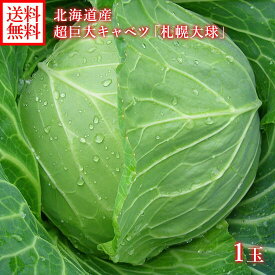 楽天市場 キャベツ 総重量 野菜 7 0 7 9kg 野菜 きのこ 食品 の通販