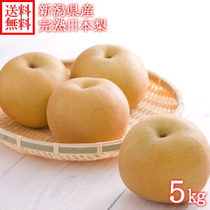 VY n{ 3kg/5kg(t[c { ʕ  K L V Â V  Y  Mtg v[g ʕMtg Yn  t[c Mtg  ʕ ΕMtg 