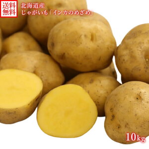 kC WKC CĴ߂ S-LTCY(3kgO/5kgO/10kgO)  Ⴊ kCY Ⴊ kC Yn  Y  CJ̖ڊo WKC kC  