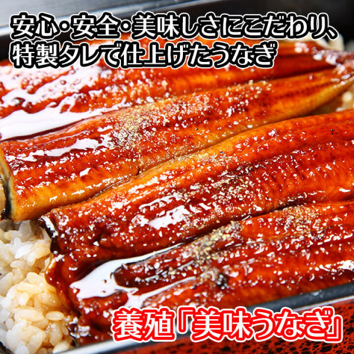 楽天市場 ギフト うなぎ ウナギの蒲焼き 3尾 セット 1g 130g前後 ウナギ うなぎ ギフト 鰻 蒲焼き 土用 の 丑の日 うなぎ 蒲焼き 送料無料 鰻 Gift 海鮮 ギフト セット プレゼント バレンタインデー チョコ以外 食べ物 ウナギ うなぎ 蒲焼 食品 Gift Set 魚 楽天市場 ギフト うなぎ ウナギの蒲焼き 3尾 セット 1g 130g前後 ウナギ うなぎ ギフト 鰻 蒲焼き 土用 の 丑の日 うなぎ 蒲焼き 送料無料 鰻 Gift 海鮮 ギフト セット プレゼント バレンタインデー チョコ以外 食べ物 ウナギ うなぎ 蒲焼 食品 Gift Set 魚