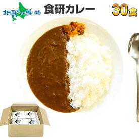 食研カレー 200g 4食/20食/30食/40食(食べ物 ギフト レトルト カレー ギフト レトルト食品 常温 保存 備蓄 お取り寄せ グルメ お惣菜 メール便 ポイント消化 送料無料 1000円ポッキリ 日本食研 カレー ギフト gift set お土産 内祝い お返し プレゼント 就職祝い)