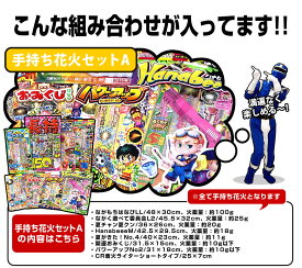 【手持ち 花火セット】噴出＋手持ち花火セット チャッカスター付き 福袋 手持ち花火セット 子供 外遊び おもちゃ 送料無料 噴き上げ花火 はなび花火セット ハナビセット はなびセット 夏花火 家族 ファミリー【13時までの注文で当日発送】