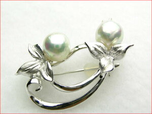 Vo[ i`Vo[O[^@u[`@10~10~@10P15Jan10