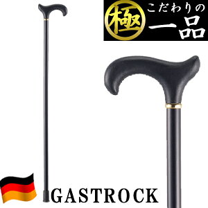   hCc  IV GA-33  jp p XebL y v[g Mtg hV̓ a KXgbN 킢  fB[X Y o^C 