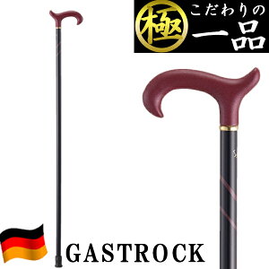   hCc  IV GA-34  jp p XebL y v[g Mtg hV̓ a KXgbN 킢  fB[X Y o^C 