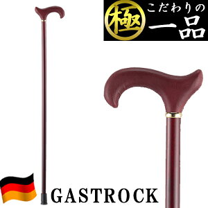   hCc  IV GA-36  jp p XebL y v[g Mtg hV̓ a KXgbN 킢  fB[X Y o^C 