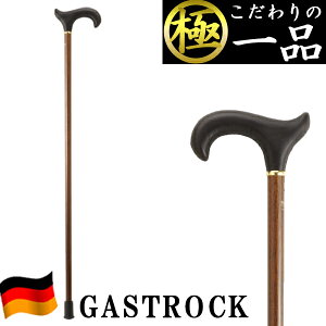   hCc  IV GA-37  jp p XebL y v[g Mtg hV̓ a KXgbN 킢  fB[X Y o^C 