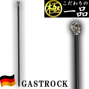   hCc  IV GA-53  jp p XebL y v[g Mtg hV̓ a KXgbN 킢  fB[X Y o^C 