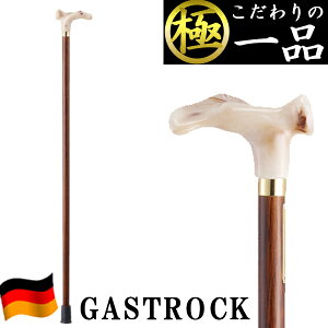   hCc  IV GA-55  jp p XebL y v[g Mtg hV̓ a KXgbN 킢  fB[X Y o^C 