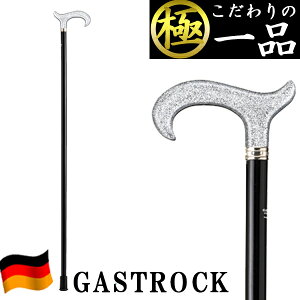   hCc  IV GA-72  jp p XebL y v[g Mtg hV̓ a KXgbN 킢  fB[X Y o^C 