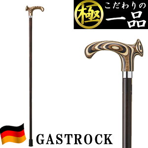   hCc  IV GA-75  jp p XebL y v[g Mtg hV̓ a KXgbN 킢  fB[X Y o^C 