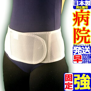 pT|[^[ ~hxgE\tg^Cv zCg Ճxg RZbg Ճoh ` 傫TCY {  Y Ճoh jp p xg P ObY p T|