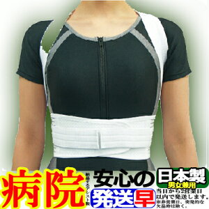 �R���Z�b�g �w�؂�������x���g���C�h���b�V�� �w�؃T�|�[�^�[ �L�� ���x �A�V�X�g ASSIST ���f�B�i�[�X ���{�� ���Y �T�|�[�^�[ �w�؃x���g �w�ؐL�΂� �p���x���g �p���o���h �L�w�x���g �L