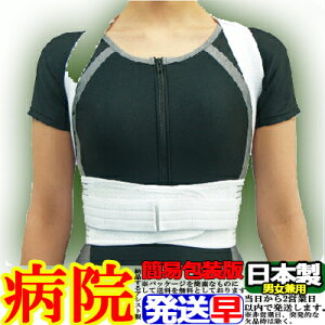 �y�S����������(��������)�z�R���Z�b�g �w�؂�������x���g���C�h���b�V�� �w�؃T�|�[�^�[ �L�� ���x �A�V�X�g ASSIST ���f�B�i�[�X ���{�� ���Y �T�|�[�^�[ �w�؃x���g �w�ؐL�΂� �p���x��