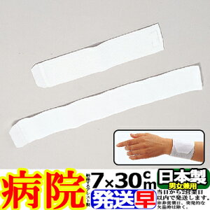 ^b`oe[W zCg 7cm×30cm E y \tgELkEϋv QIAVXg ASSIST { T|[^[ w    ̕ Ђ I  G       