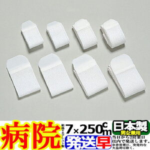 }WbNoe[W (A^CvEB^Cv) B-25 7cm×250cm y \tgELk QIAVXg ASSIST { T|[^[ w    ̕ Ђ I  G         