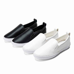 y_N[|p20%OFF!^z Xb| Xj[J[ 4E Ȃ [t@[ t fB[X y V 5E O[  uh ᓹ ~ V[Y LeBO  24.5  sN H y 