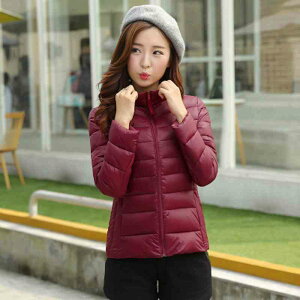 y_N[|p20%OFF!^z _EWPbg fB[X t[h 40  V[gR[g _E t R[g 傫TCY ~ uh Wp[  y  n[t ꂢ H 