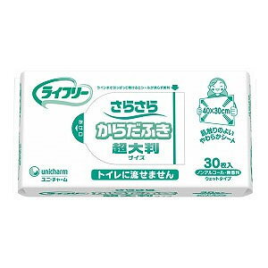 yjE`[zGCt[Ɩp@炳炩炾ӂi30j / 4827852934yԍ݌ɁzEzypiz炾ӂ/@/CɓȂ/̂􂦂Ȃ/唻/^/E