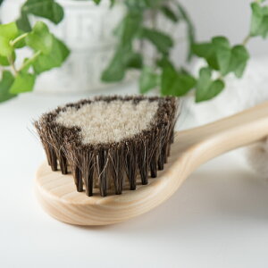 󑐃A[guV nу{fBuVEn[guWGbgv