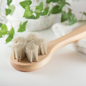 󑐃A[guV nт̃{fBuVEuNIpgv